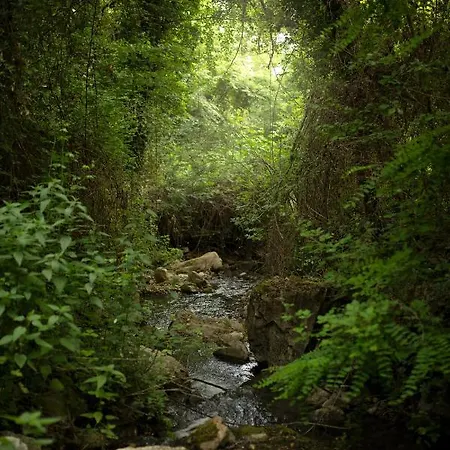 Villa Mulino Vecchio Minucciano